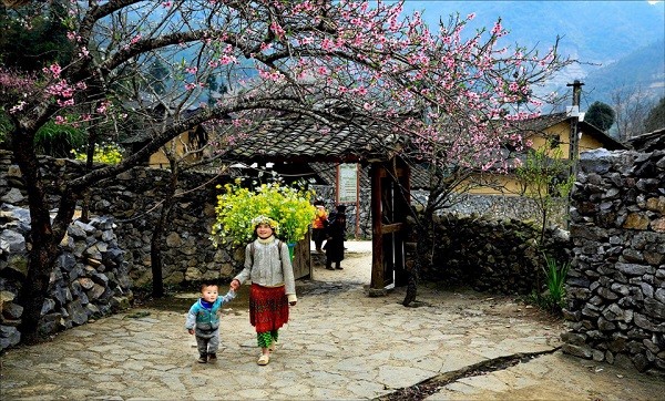 ha giang